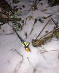 One of the author's retrieved arrows.